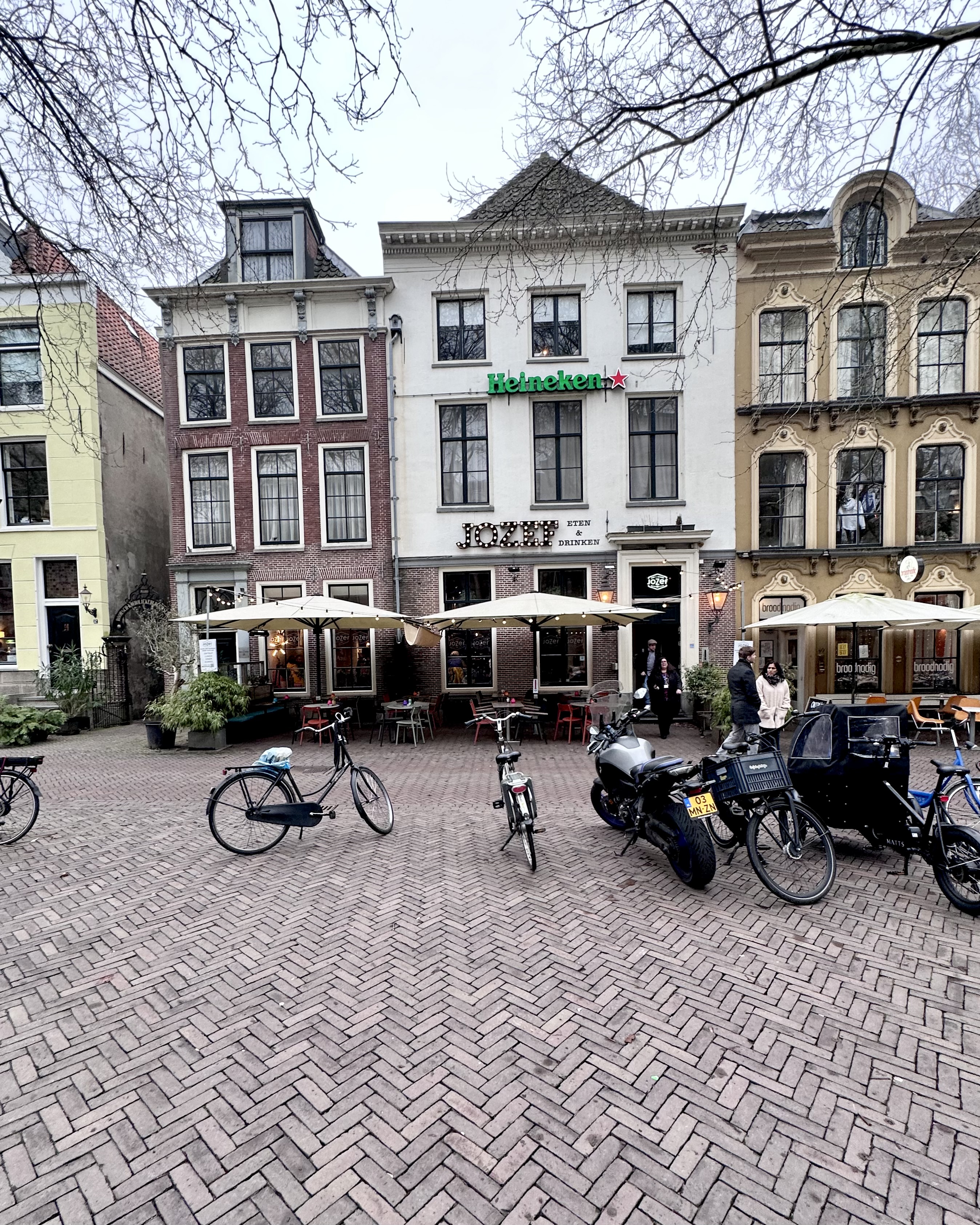 IMG_8593